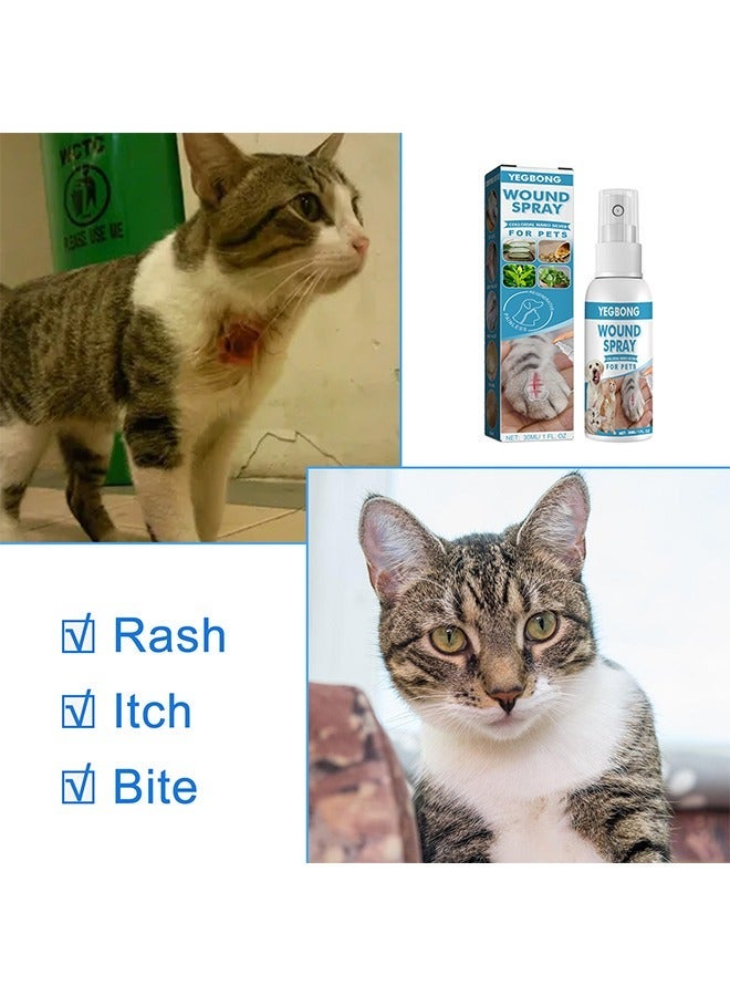 ييبونغ رذاذ الجرح الحيوانات الأليفة الكلب القط خدش علاج الجرح الجلد الطحالب إصلاح الحل المضاد للبكتيريا, العناية بجروح الحيوانات الأليفة, الجرح والعناية بالبشرة, رذاذ السائل للكسر والحكة البشرة, 30 مل - Image 3